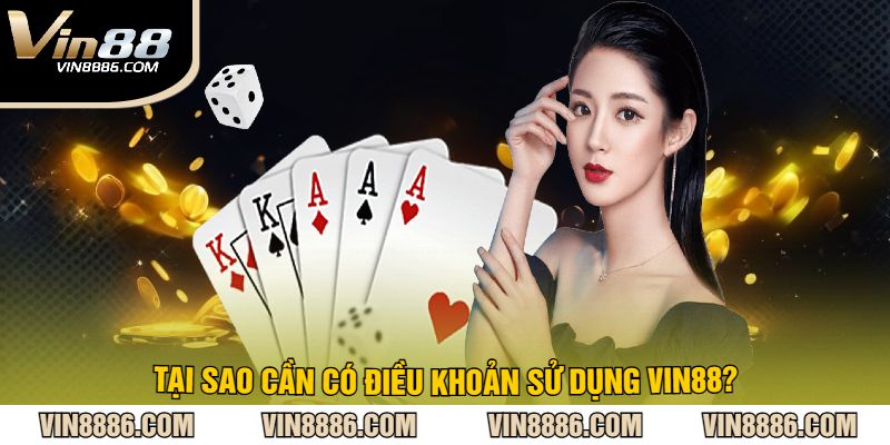 Lý Do Điều Khoản Sử Dụng VIN88 Lại Quan Trọng